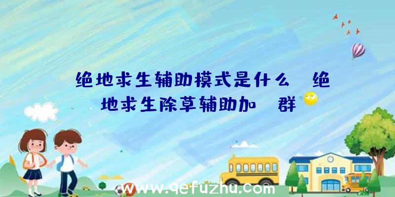 「绝地求生辅助模式是什么」|绝地求生除草辅助加qq群